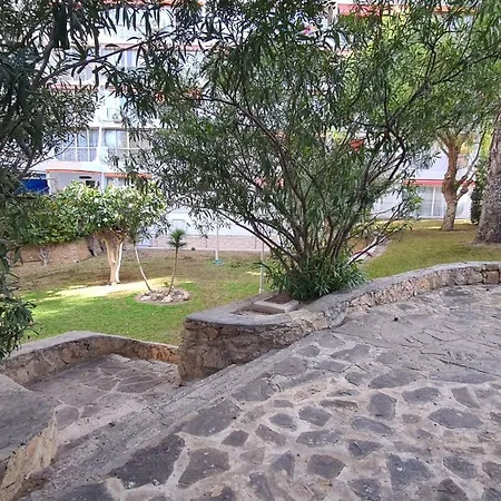 Playmon Park 6 If *